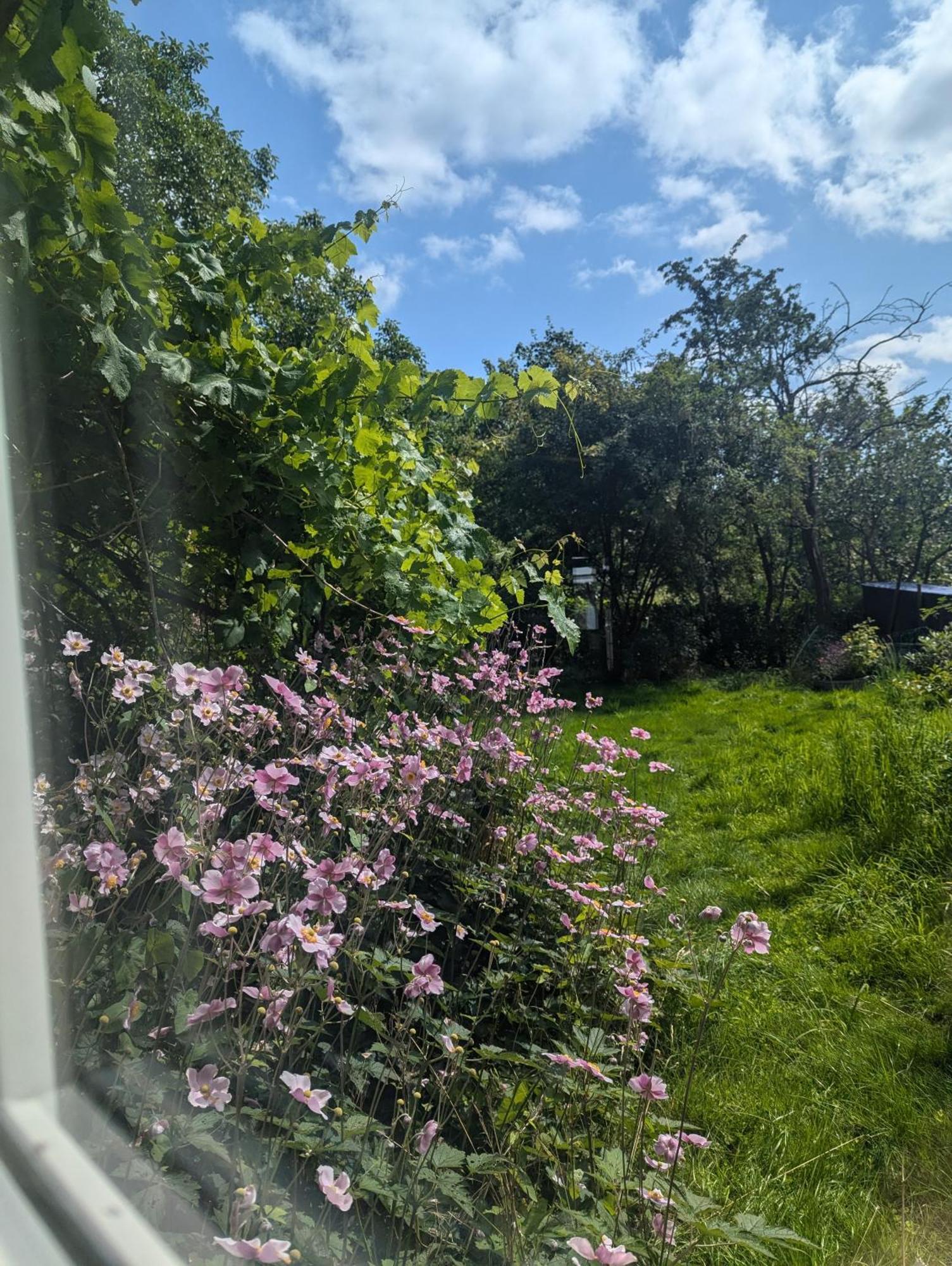 Lejlighed Ved Skov Græsted 외부 사진