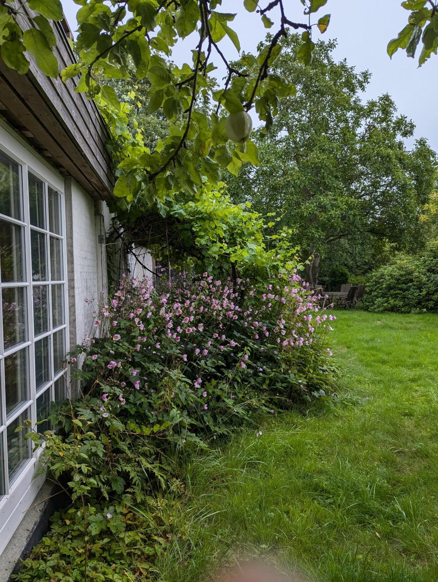 Lejlighed Ved Skov Græsted 외부 사진